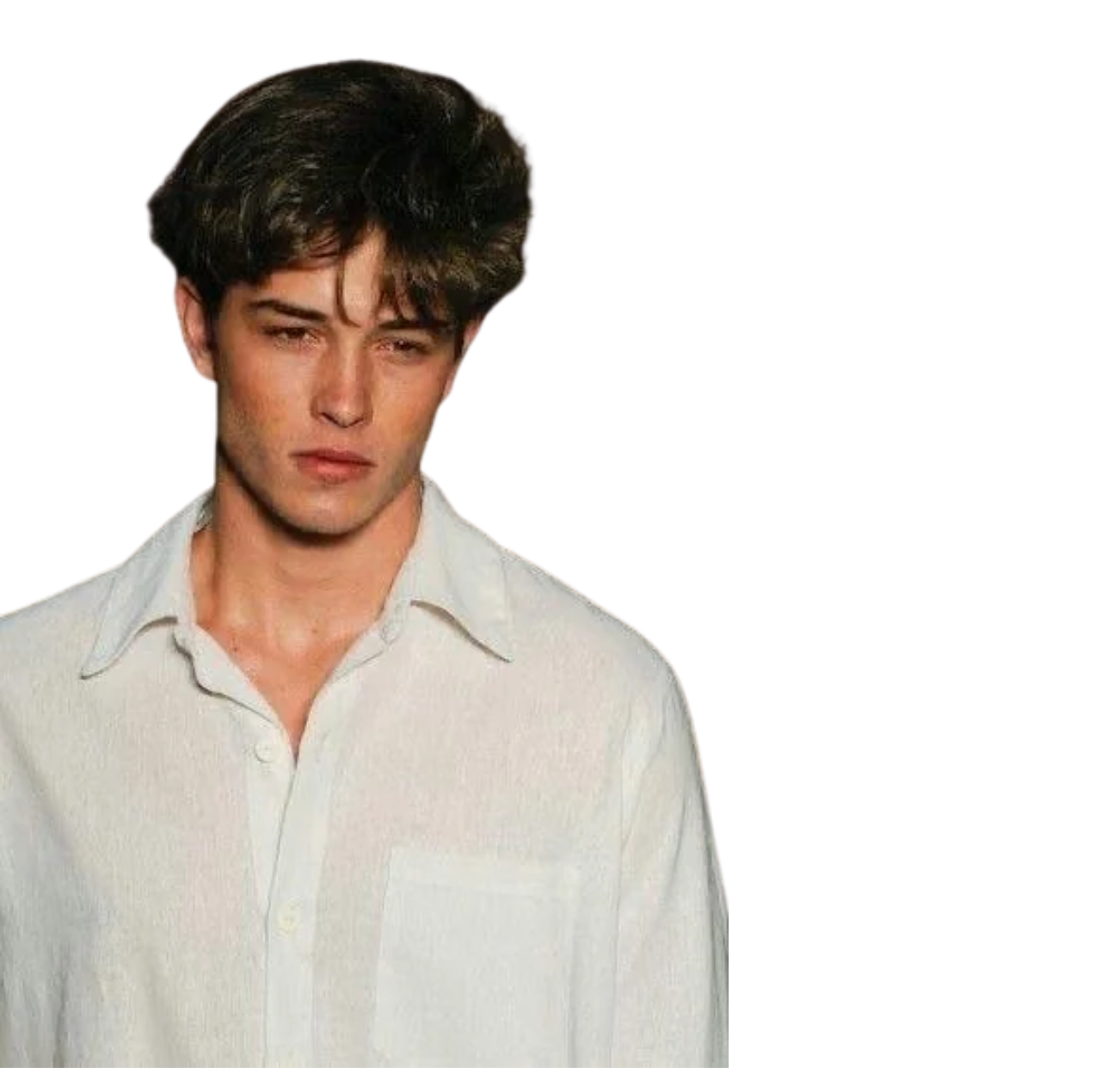 Looksmaxxed Individual