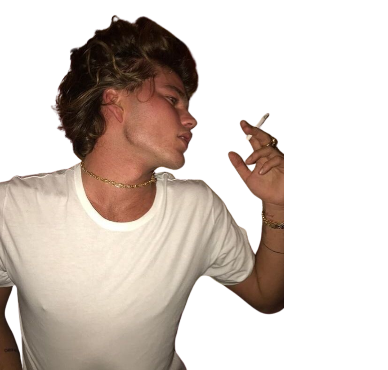 Looksmaxxed Individual